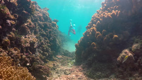 Camera-moving-towards-young-snorkeler-swimming-underwater-through-a-valley-of-rock-and-coral-reef