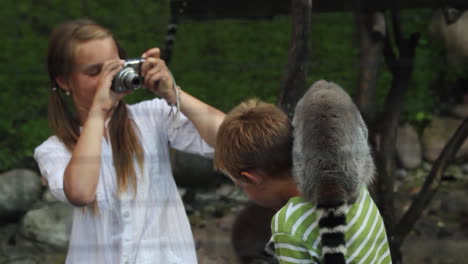 Lemur-placed-on-a-child's-shoulder-while-a-girl-takes-pictures-of-them-in-Scandinavia,-the-North-of-Europe