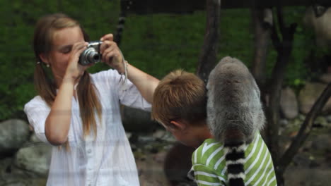 Lémur-Colocado-Sobre-El-Hombro-De-Un-Niño-Mientras-Una-Niña-Les-Toma-Fotografías-En-Escandinavia,-El-Norte-De-Europa