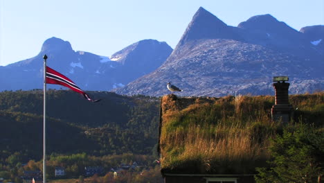 Eine-Möwe-Steht-Auf-Dem-Grasdach-Einer-Roten-Hütte,-Auf-Der-Die-Flagge-Norwegens-Weht