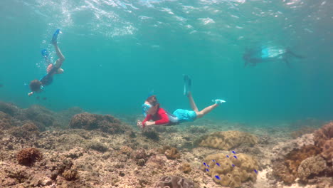 Young-snorkeler-pointing-to-a-cornetfish-as-it-swims-past-the-camera