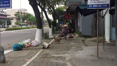 Dog,-trash-and-people-on-the-street-in-Da-Nang,-Vietnam
