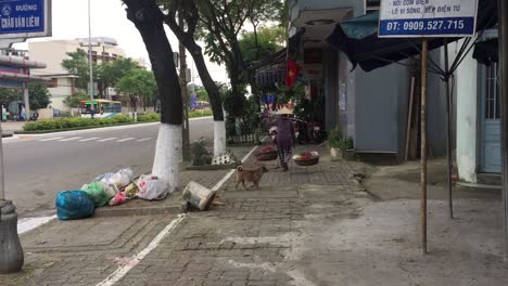 Perro,-Basura-Y-Gente-En-La-Calle-En-Da-Nang,-Vietnam.