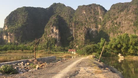 Dog-on-a-trail-by-a-mountain-in-Hanoi,-Vietnam