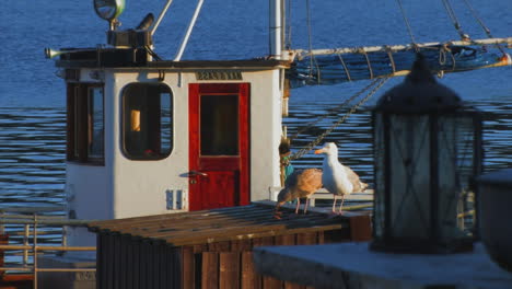 A-lantern-on-a-boat-dock