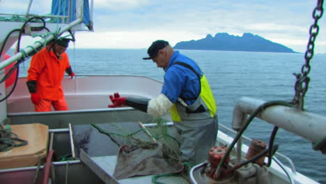 Two-fishermen-working-to-return-a-tangled-net-to-it's-box-onboard-their-ship