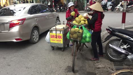 Dog-on-a-trail-by-a-mountain-in-Hanoi,-Vietnam