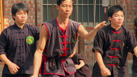 Gruppe-Asiatischer-Menschen,-Die-Kampfkünste-Mit-Den-Gleichen-Bewegungen-Praktizieren