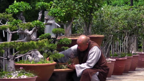 Man-tends-to-plants-and-trees-in-pots-on-sidewalk-in-garden-of-temple-in-Taiwan