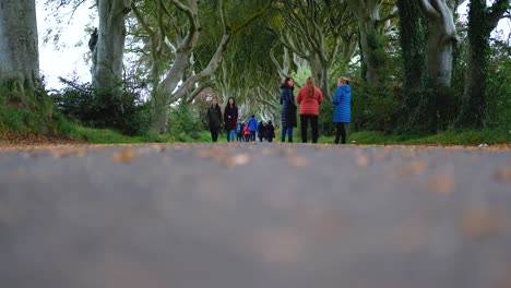 Gente-En-La-Carretera-Con-Una-Avenida-De-Hayas-En-Los-Setos-Oscuros-En-El-Condado-De-Antrim,-Irlanda-Del-Norte---Tiro-A-Nivel-Del-Suelo