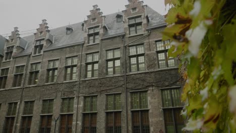 Ivy-Foreground-Reveals-Ornate-University-of-Antwerp-Building,-Belgium