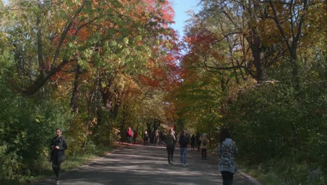 Gente-Caminando-Por-Un-Sendero-Rodeado-De-árboles-Otoñales-En-El-Parque-Mount-Royal-En-Montreal
