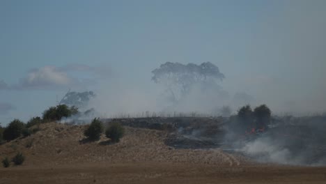 Grass-fire-burning-farm-land-with-small-rabbit-seen-running-to-escape