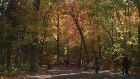 Cyclists-Going-Past-Under-Autumn-Trees-In-Mount-Royal-Park-In-Montreal