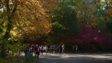 Einheimische-Gehen-Auf-Einem-Von-Herbstbäumen-Umgebenen-Weg-Im-Mount-Royal-Park-In-Montreal