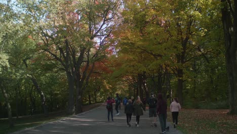 Fußgänger,-Die-Auf-Einem-Von-Herbstbäumen-Umgebenen-Weg-Im-Mount-Royal-Park-In-Montreal-Spazieren