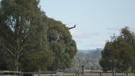 Helicopter-travelling-behind-trees-after-picking-up-water-to-control-a-grass-fire