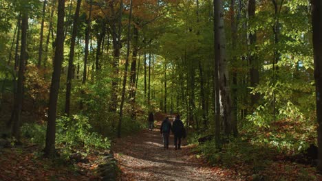Paar-Spaziert-Entlang-Des-Weges-Im-Herbstwald-Im-Mount-Royal-Park-In-Montreal