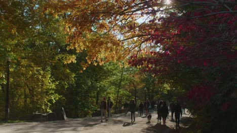 Gente-Caminando-Por-Un-Sendero-Rodeado-De-árboles-Otoñales-En-El-Parque-Mount-Royal-En-Montreal