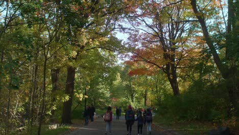Groups-Of-People-Walking-Along-Path-During-Autumn-At-Mount-Royal-Park-In-Montreal