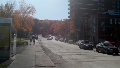 Bushaltestelle-Auf-Der-Straße-Mit-Vorbeifahrendem-Verkehr-Mit-Herbstlichen-Bäumen-In-Montreal