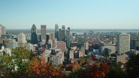 Horizonte-De-Montreal-Visto-Desde-El-Parque-Mount-Royal-Sobre-Los-árboles-De-Otoño