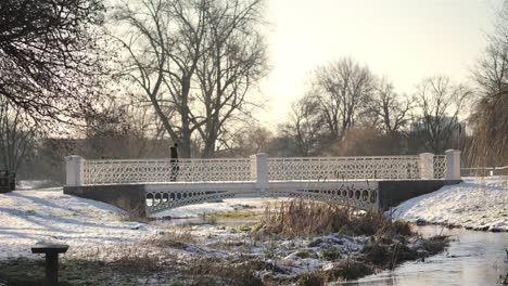 A-slow-motion-walking-over-a-bridge-the-day-after-a-snow-day
