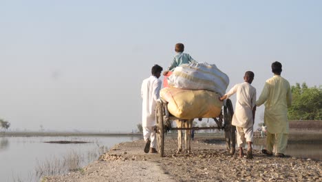 Vista-Detrás-De-Un-Grupo-De-Personas-Con-Una-Vaca-Tirando-De-Un-Carro-De-Madera-Con-Sacos-A-Través-Del-Paisaje-Inundado-En-Sindh