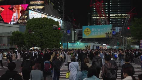Shibuya-Cruzando-Por-La-Noche,-Jóvenes-Japoneses-Vida-Nocturna