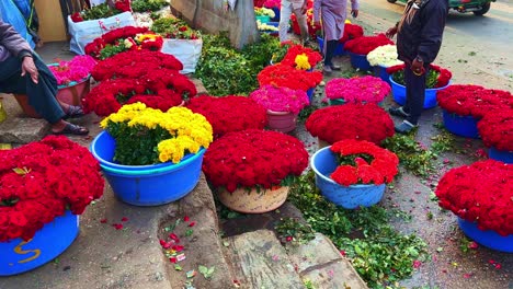 Beautiful-roses-placed-in-tubs-according-to-the-colors-and-put-up-for-sale-in-Bangalore