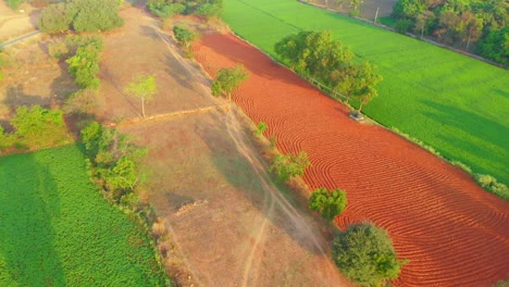 Eine-Luftaufnahme-Von-Feldern-In-Den-Ländlichen-Teilen-Indiens,-Wo-Die-Landwirtschaft-Die-Haupteinnahmequelle-Ist