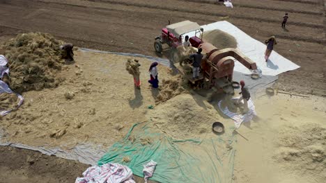 Rajkot,-Gujarat,-India:-Aerial-drone-rotating-shot-over-farm-workers-pushing-bundles-of-wheat-in-a-thresher-machine-to-separate-grain-after-harvesting-them