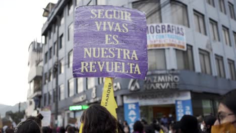 Eine-Frau-Hält-Ein-Schild-Mit-Einem-Spruch-Hoch,-Um-Gegen-Die-Gewalt-Gegen-Frauen-Zu-Protestieren