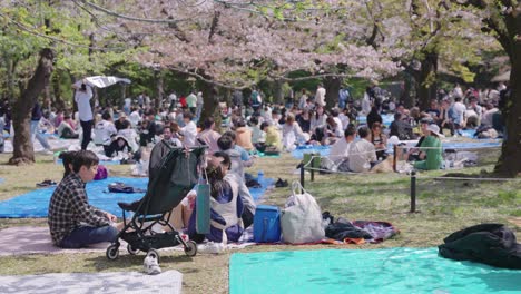 Familias-Y-Amigos-Se-Reúnen-En-El-Parque-Yoyogi-Para-Hacer-Un-Picnic