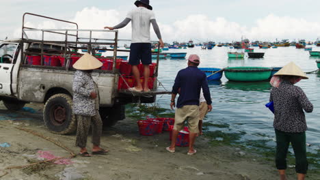 Mui-Ne-beach-buzzes-with-fishermen-and-women-loading-catch-for-transport
