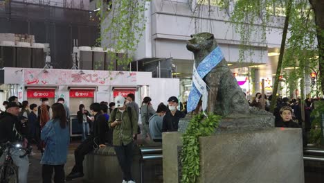 Hachiko-Statue,-Symbol-Der-Loyalität-Und-Beliebter-Treffpunkt-In-Tokio