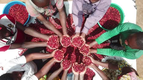 Beautiful-scene-of-people-together-in-circle-holding-beans-of-coffee-in-hands-and-rising-up