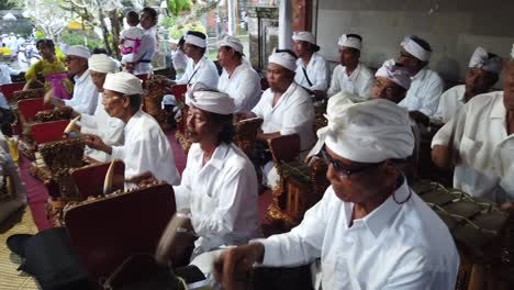 Hombres-Mayores-Tocan-Música-Gamelan-En-Bali-Indonesia-En-La-Ceremonia-Del-Templo-Vestidos-Con-Trajes-Blancos,-Actuación-Religiosa-Cerca-De-Un-Colorido-Jardín