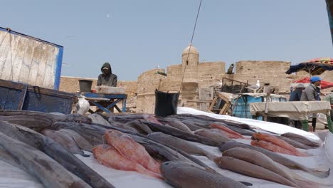 Tiefansicht,-Fisch-Zum-Verkauf-Auf-Dem-Markt-In-Essaouira,-Marokko-Vorbereiten