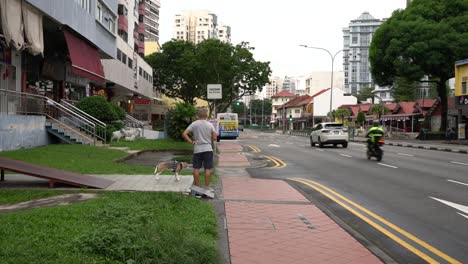 Szene-Mit-Einem-Mann,-Der-Morgens-Mit-Dem-Hund-Spazieren-Geht,-Und-Gutem-Verkehrsfluss-Auf-Der-Balestier-Road,-Singapur