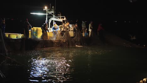 Seevögel-Tauchen-In-Japanischen-Tintenfischnetzen,-Während-Männer-Glühwürmchenkalmare-Fangen