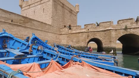 Fischer-In-Blauen-Booten-Und-Beeindruckende-Stadtmauern-Im-Hafen-Von-Essaouira
