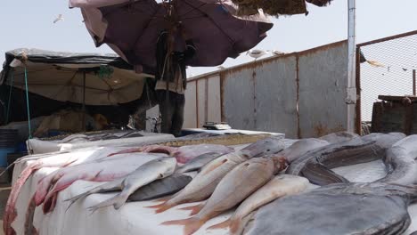 Frischer-Fisch-Am-Marktstand-Ausgestellt