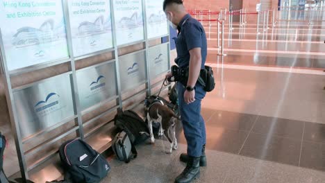 Una-Unidad-Canina-De-Un-Oficial-De-Policía-Busca,-Revisa,-Huele-Y-Detecta-Las-Pertenencias-Y-Bolsos-De-Los-Visitantes-En-Busca-De-Posibles-Amenazas-Durante-El-Día-Nacional-De-China-Y-El-Evento-Político-De-Aniversario.