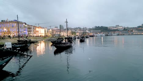 Langsame-Aufnahme-Eines-Vogels,-Der-Auf-Ausflugsbooten-In-Porto-Steht