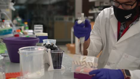Scientist-loads-samples-into-a-western-blot-late-at-night