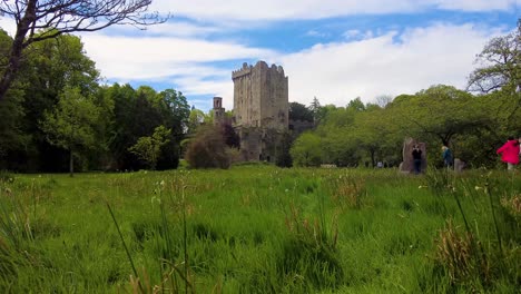 Los-Hermosos-Colores-De-Los-Jardines-Del-Castillo-De-Blarney-Pradera-Salvaje-Cork-Irlanda