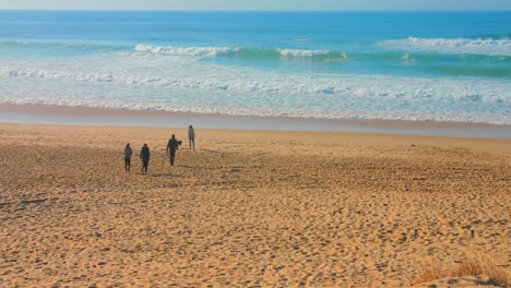 Stunning-View-Of-People-Spending-Time-At-The-Beachfront-Playing-With-A-Dog-Running-On-Sandy-Shore-In-Biscarrosse-In-New-Aquitaine,-France