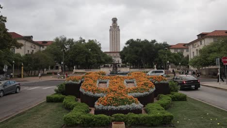 UT-flower-bed-with-the-Main-Building-in-the-background-on-the-campus-of-the-University-of-Texas-in-Austin,-Texas-with-gimbal-video-walking-forward