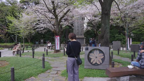 Sakura-Floreciendo-En-El-Parque-Conmemorativo-Del-Santuario-Yasukuni